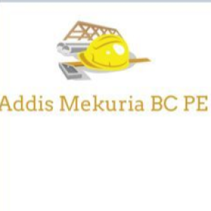 Addis Mekuria Building Construction