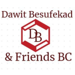 Dawit Besufekad & Friends Building Construction