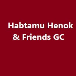Habtamu, Henok and Friends General Construction