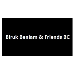Biruk Biniam And Friends Building Construction