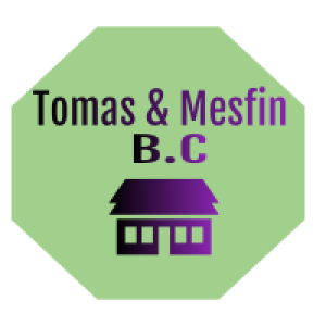 Tomas and Mesfin BC