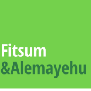 Fitsum & Alemayehu Construction