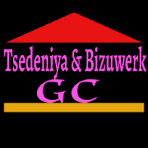 Tsedeniya & Bizuwerk GC